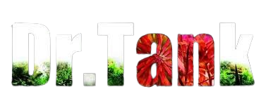 Brand 7